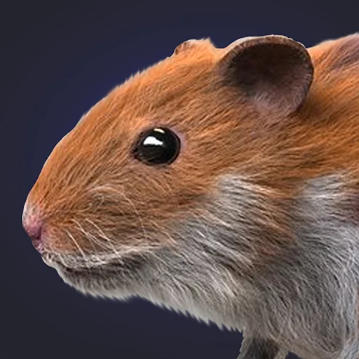 ดาวน์โหลด Hamster Clicker Earn Coins ล่าสุด – เกมคลิกสะสมเหรียญฟรี