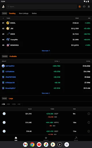 ดาวน์โหลด Birdeye – ติดตามราคา Crypto และ Memecoins ล่าสุด ฟรี - Screenshot 15