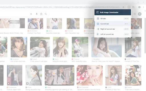 Bulk Image Downloader ดาวน์โหลดรูปภาพจำนวนมากได้รวดเร็วทันใจ - Screenshot 2