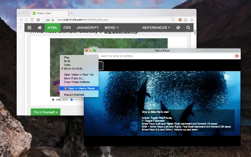 ดาวน์โหลด MediaPlayer สำหรับ Chrome – เล่นวิดีโอและเพลงออนไลน์ได้ง่ายๆ - Screenshot 1
