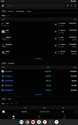 ดาวน์โหลด Birdeye – ติดตามราคา Crypto และ Memecoins ล่าสุด ฟรี - Screenshot 10