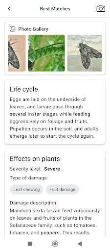 ดาวน์โหลด Plant disease เวอร์ชั่นล่าสุด – ตรวจสอบโรคพืชผ่านรูปภาพฟรี - Screenshot 5