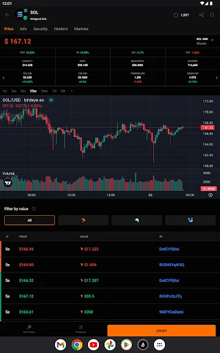 ดาวน์โหลด Birdeye – ติดตามราคา Crypto และ Memecoins ล่าสุด ฟรี - Screenshot 12