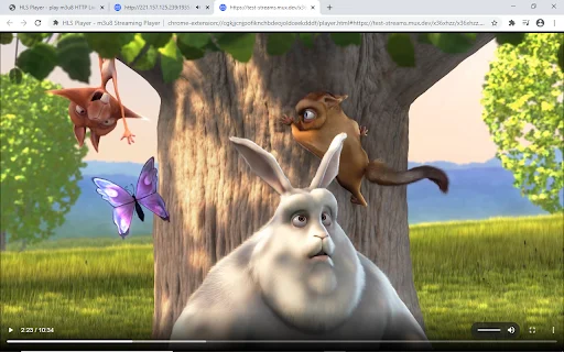 ดาวน์โหลด HLS Player สำหรับ Chrome – เล่นไฟล์ m3u8 ได้อย่างรวดเร็วและฟรี - Screenshot 1