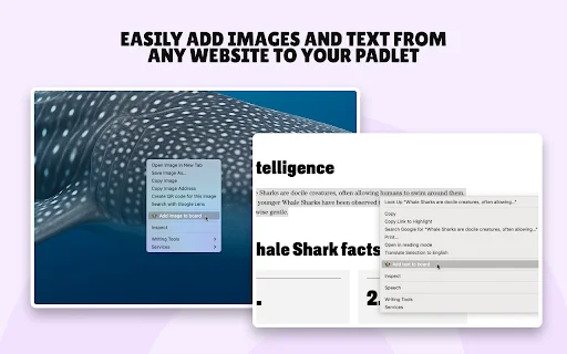 ดาวน์โหลด Padlet Mini ล่าสุด – เก็บเนื้อหาและบันทึกเว็บได้ง่ายฟรี - Screenshot 3