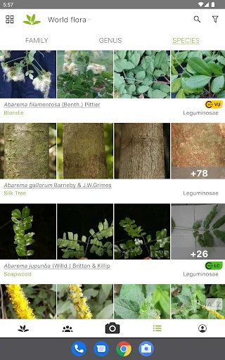 ดาวน์โหลด PlantNet ระบุชนิดพืชแม่นยำ – แอปดีที่คนรักต้นไม้ต้องมี - Screenshot 7